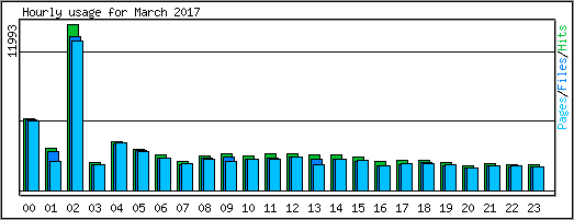 Hourly usage