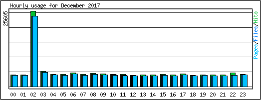 Hourly usage