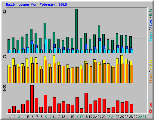 Daily usage for February 2013