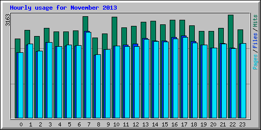 Hourly usage for November 2013