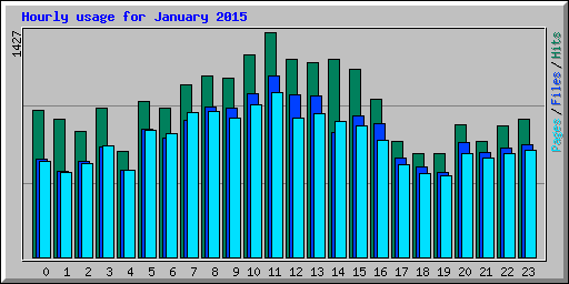 Hourly usage for January 2015